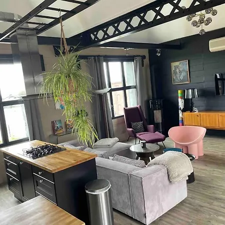 Loft Sur Les Toits De 公寓